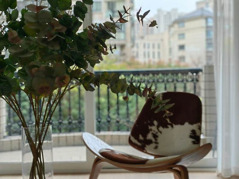 Housing image — Balcony