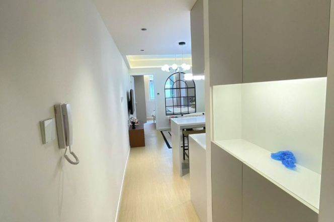 1BR Apartment near Jiangsu Rd Metro