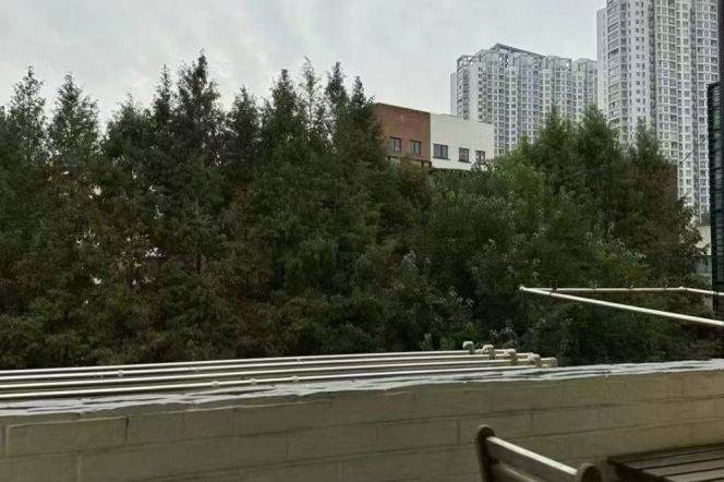 1BR Apartment near Jiangsu Rd Metro with Floor-to-Ceiling Windows (L2/L11)