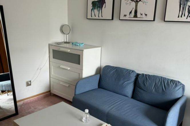 1BR Apartment in Xujiahui (L1/L9/L11)