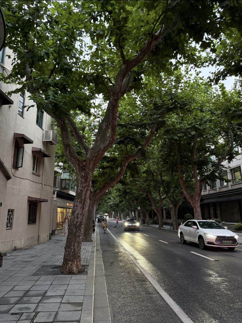 Housing image — Building Exterior