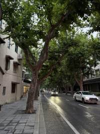 Housing image — Building Exterior