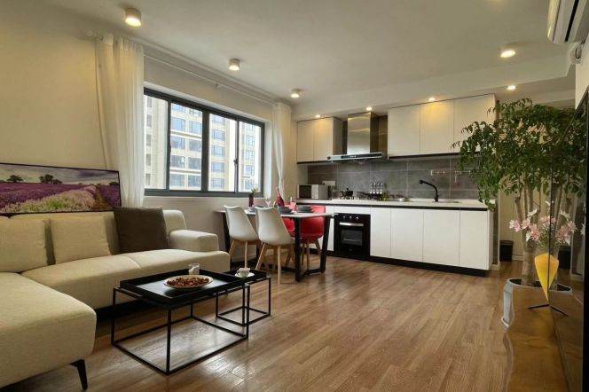 High-Floor Spacious 1BR Apartment in Jing'an with Outstanding View (L2/L11)