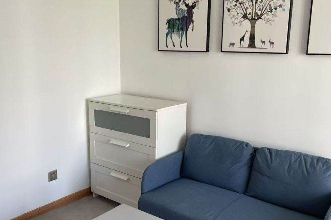 1BR Apartment in Xujiahui (L1/L9/L11)