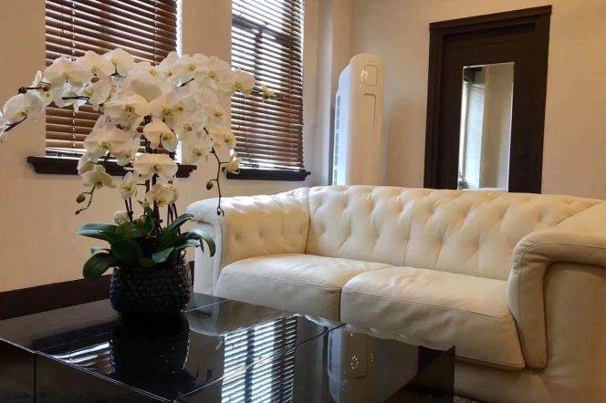 Spacious 1BR Heritage Apartment near Bund 18 (L2/L10)