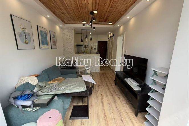 1BR Apartment in Old Xuhui (L9/L12)