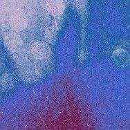 Desktop Error (TH), Yndling (NOR), chirrp. (TW), The Giraffe Told Me In My Dream (TW), Tartars, Radiation Fog