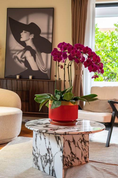 Housing image — Living Room