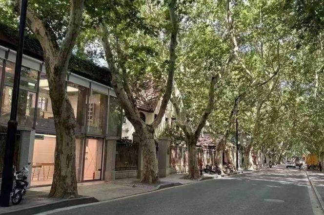 3BR Apartment in Old Xuhui