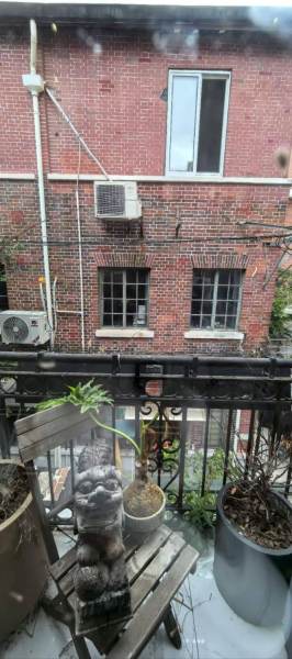 Housing image — Terrace