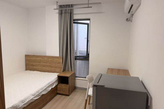 1BR Apartment near Tongji University (L10)