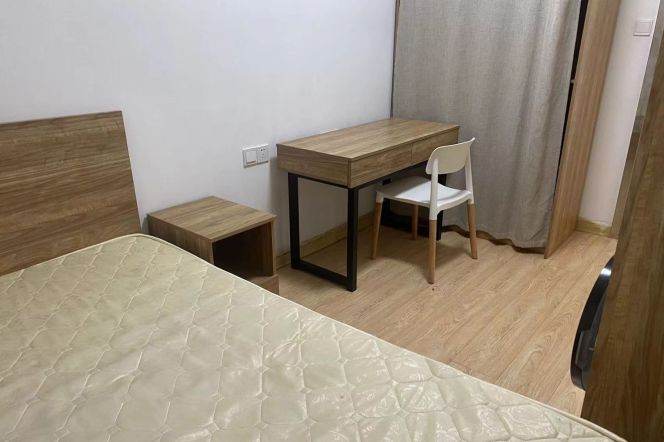 1BR Apartment near Tongji University (L10)