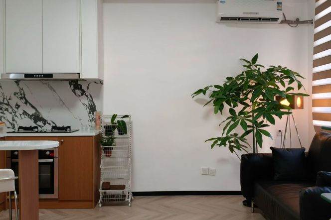 Spacious 1BR Apartment in Old Xuhui (L1/L7)