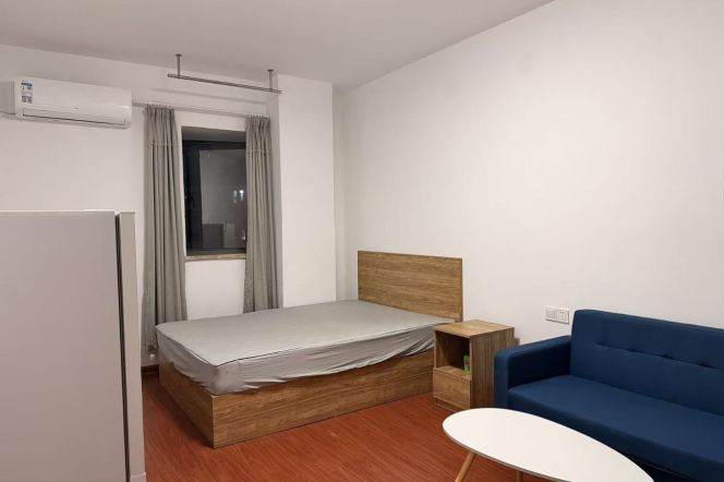 1BR Apartment near Tongji University (L10)