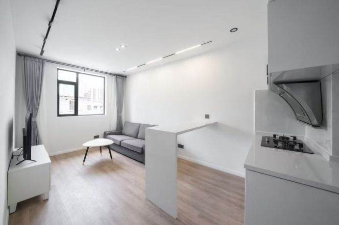 1BR Apartment near Dapuqiao Metro (L9/L12)