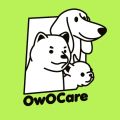 Design Intern