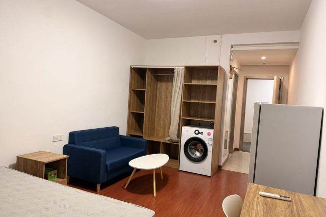 1BR Apartment near Tongji University (L10)