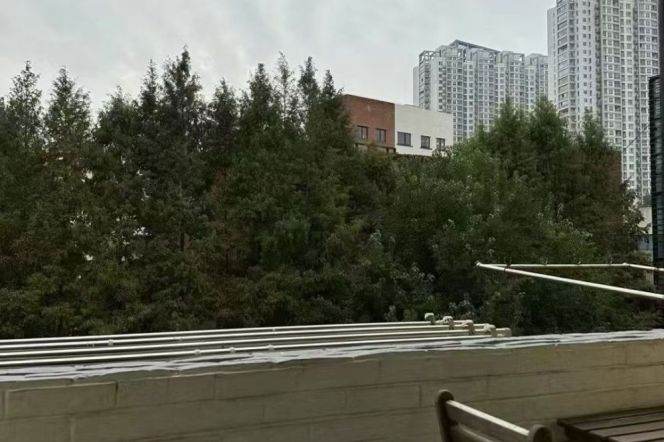 1BR Apartment in Jing'an with Floor-to-Ceiling Windows (L2/L11)