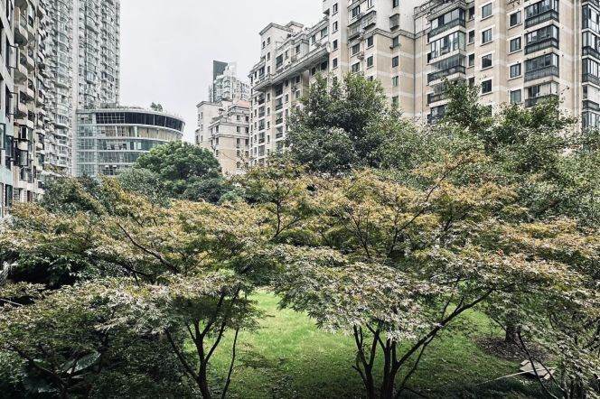 3BR Apartment in Jing'an with Green View
