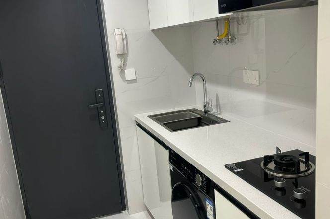 1BR Apartment near Zhongshan Park