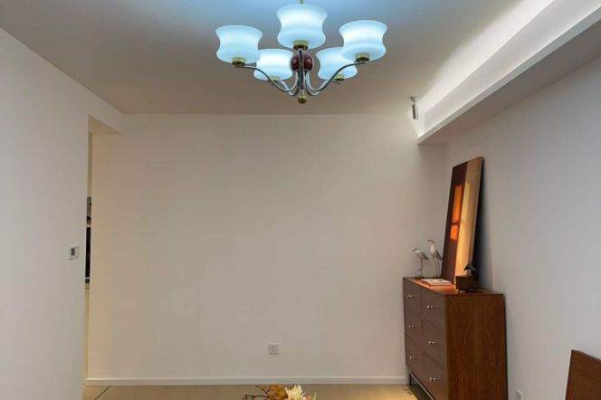 High-Floor Spacious 1BR Apartment in Old Xuhui (L9/L12)