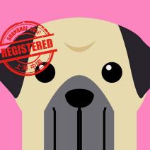 [How To]: Get a Dog License in Shanghai