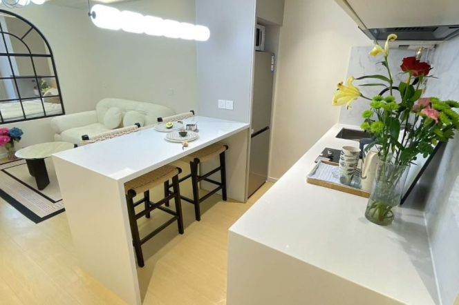 1BR Apartment near Jiangsu Rd Metro