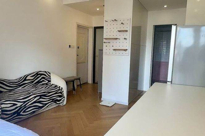 1BR Apartment in Old Xuhui (L9/L12)