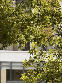 Housing image — View