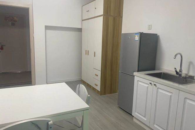 1BR Apartment near East China Normal University Zhongshan Bei Lu Campus (L2/L3/L4)