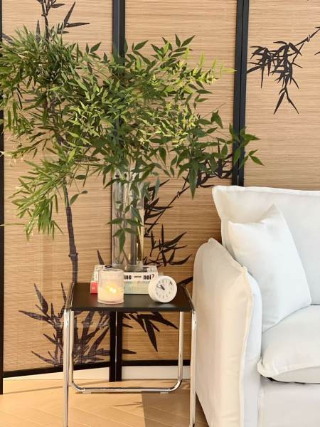 Housing image — Living Room