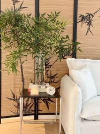 Housing image — Living Room
