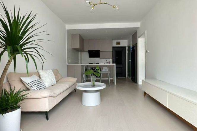 1BR Apartment in Old Xuhui (L1/L7/L9)