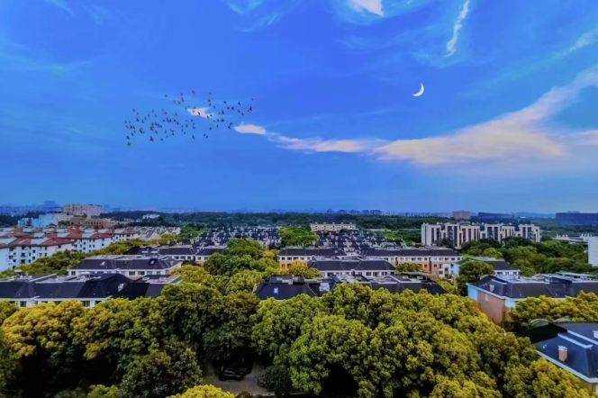 5BR Villa in Hongqiao CBD