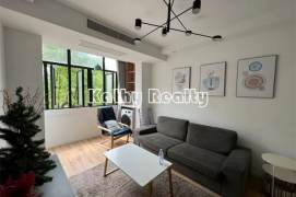 1BR Apartment in Old Xuhui (L9/L12)