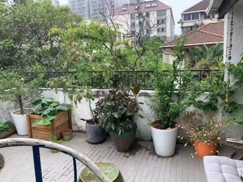 Housing image — Terrace