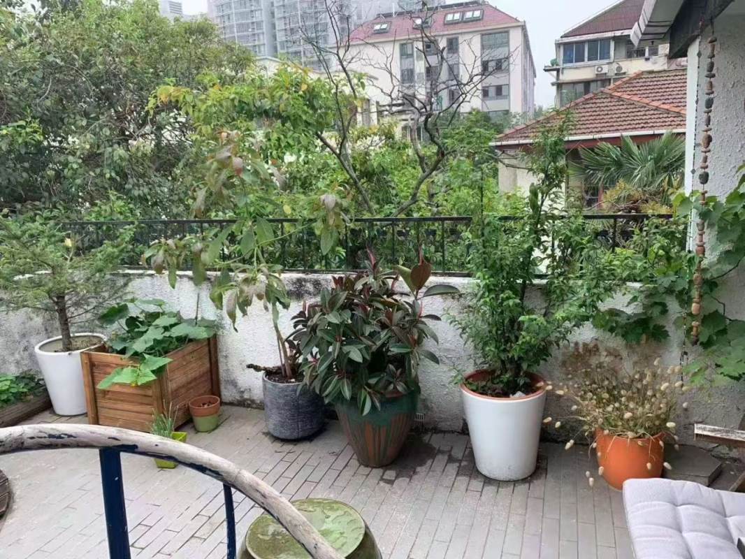 Housing image — Terrace