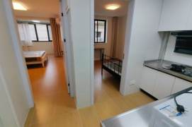 2BR Apartment in Xujiahui (L1/L9/L11)