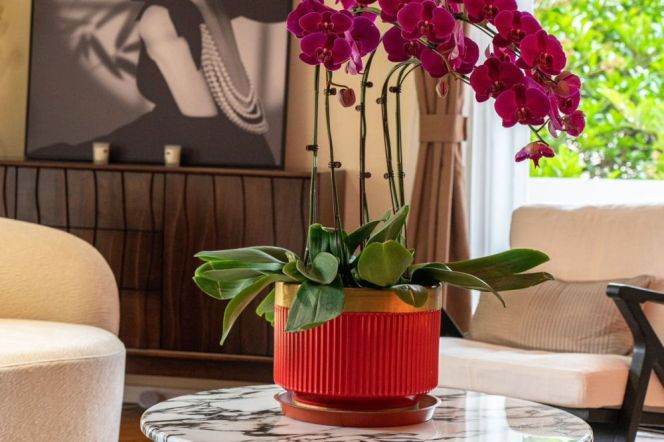 Spacious 3BR Apartment in Old Xuhui with Green View (L9/L12)
