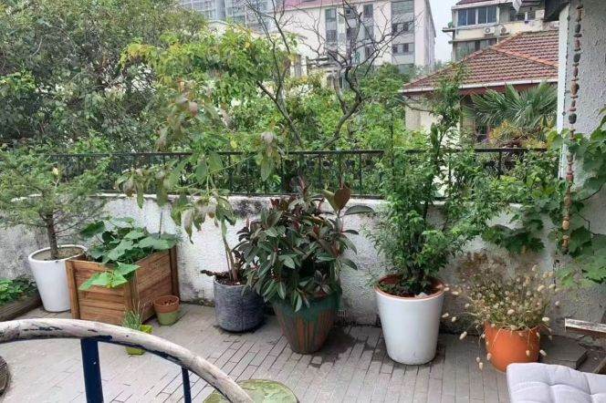 Historic 3BR Apartment near Zhongshan Park with Green View (L2/L3/L4)