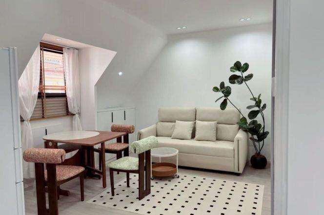 1BR Apartment in Old Xuhui (L1/L7)