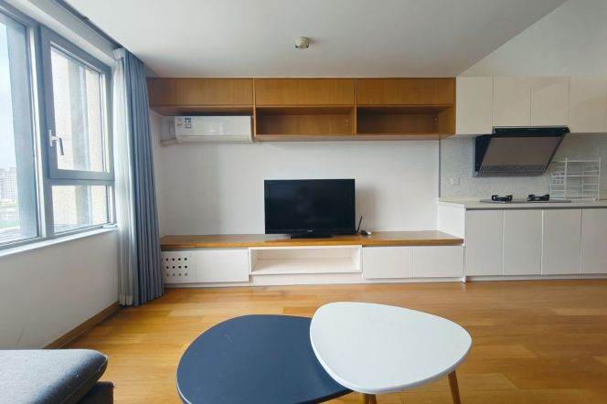 Spacious 1BR Apartment near Century Park
