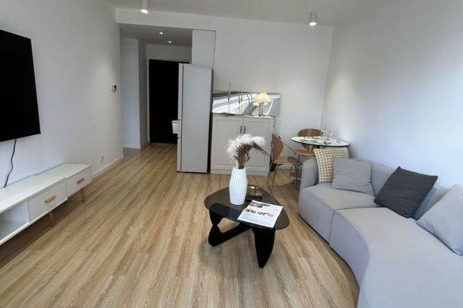 Spacious 1BR Apartment in Xujiahui (L3)