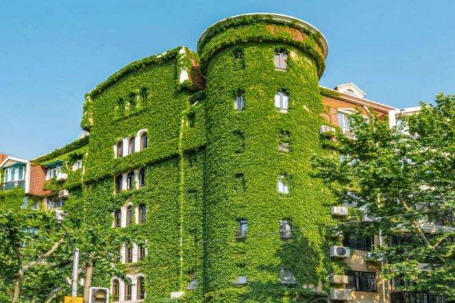 5BR Apartment in Old Xuhui (L9/L12)