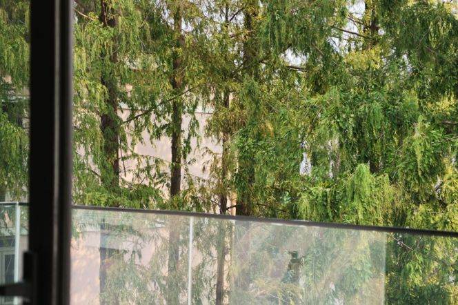 3BR Lane House in Old Xuhui with Green View (L10)