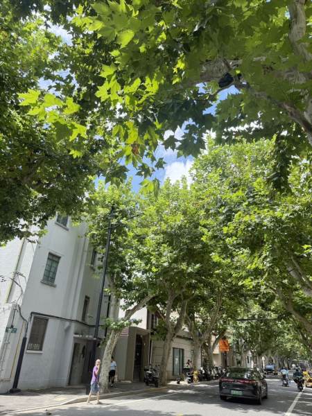 Housing image — Compound