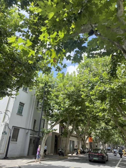 Housing image — Compound
