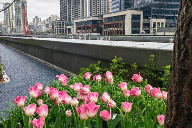 Spacious 3BR Apartment in Jing'an with Green View