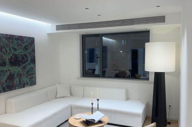 Spacious 1BR Apartment in Xujiahui (L10)