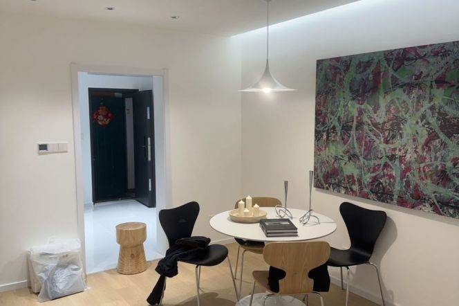 Spacious 1BR Apartment in Xujiahui (L10)